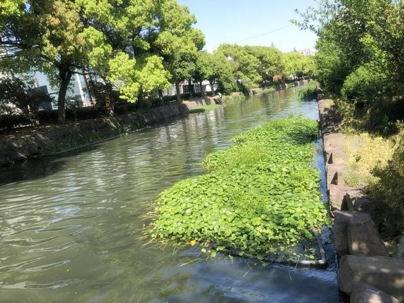 便攜式水質(zhì)檢測儀用于檢測河流水質(zhì)