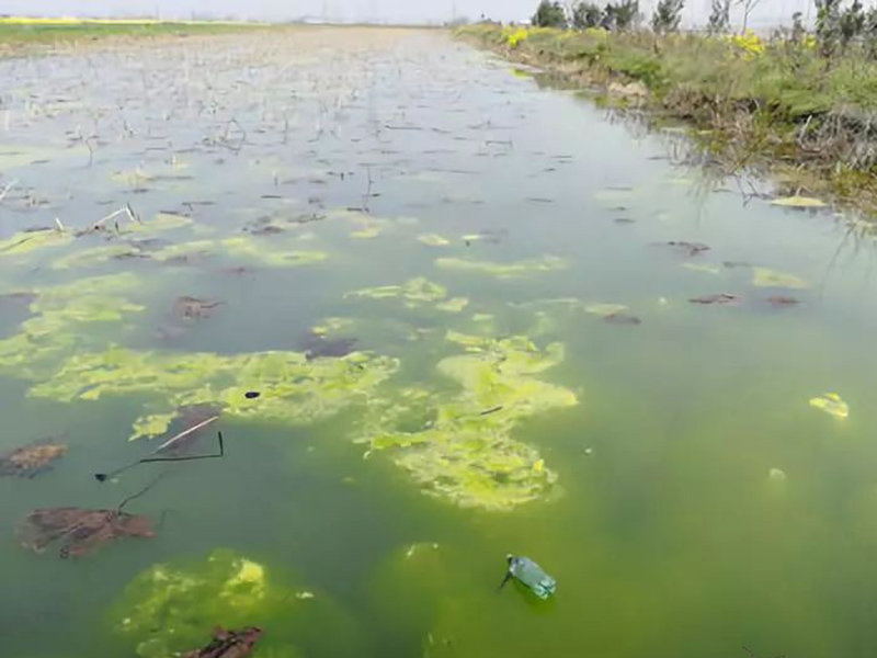 水質(zhì)檢測分析儀可用于什么地方