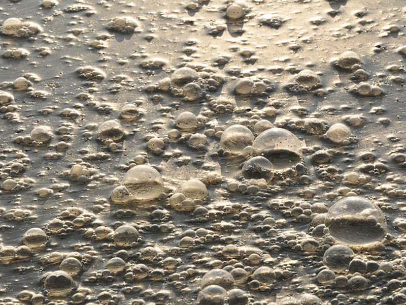 水質急性毒性測定儀定量檢測廢水毒性
