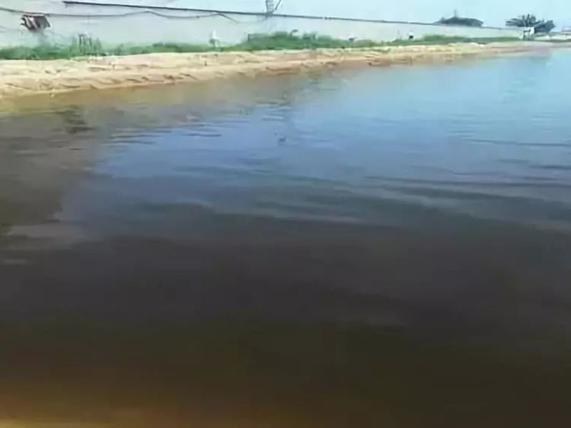 生物毒性檢測儀用于神經毒劑的毒性檢測 生物毒性檢測儀用于神經毒劑的毒性檢測