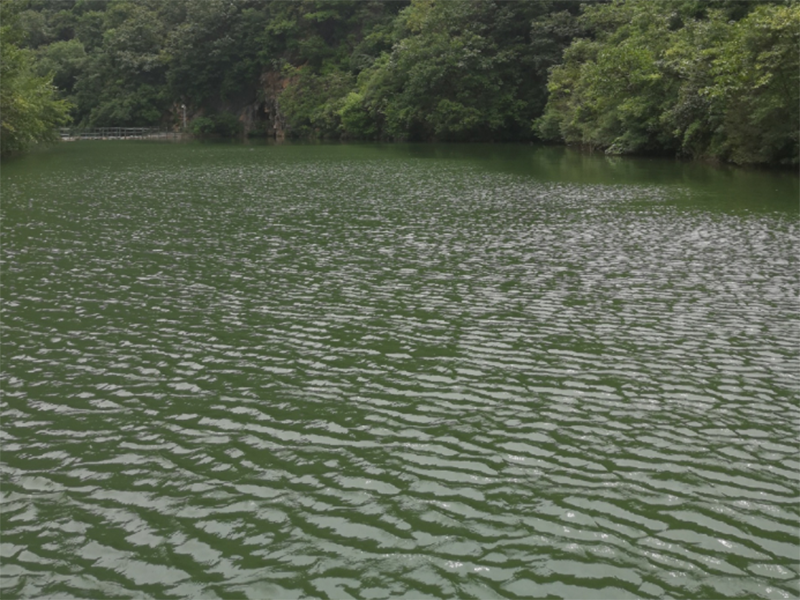 總氮 氨氮