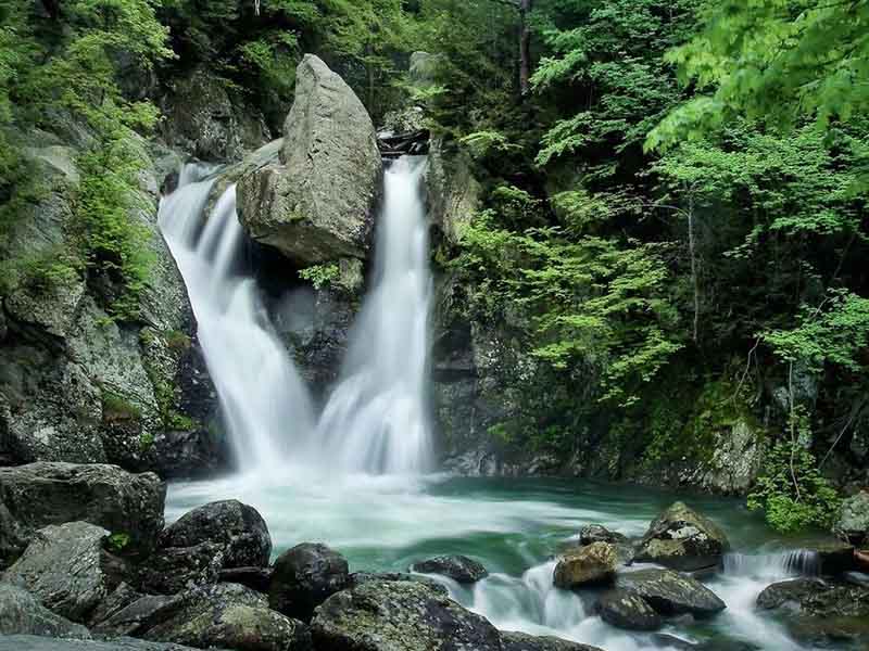 水質(zhì)氨氮和總磷有什么區(qū)別 水質(zhì)氨氮和總磷有什么區(qū)別
