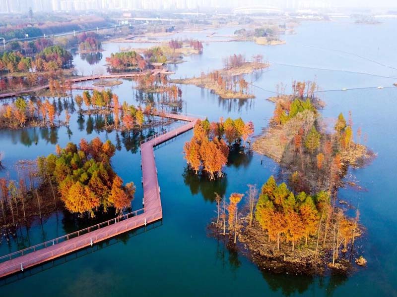 水質氨氮檢測的注意事項 水質氨氮檢測的注意事項