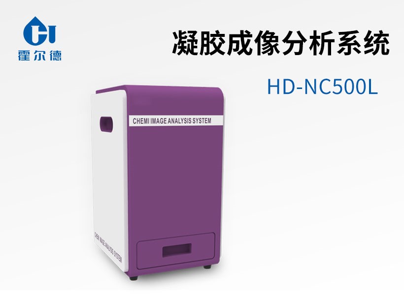凝膠成像分析系統